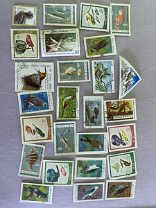 Postmargid (6 foto / 9)