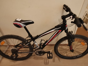 Jalgrattas BOTTECCHIA 060 (1 foto / 1)