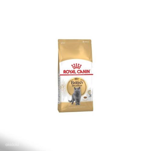 Royal canin 2024 british shorthair 10kg