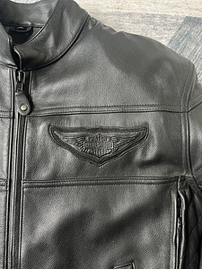 Harley Davidson Sõidutagi M (2 foto / 10)