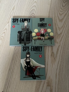 Spioonipere manga (1 foto / 1)