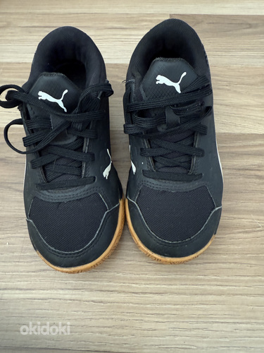 Puma tossud