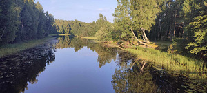 PUHKEMAJA RENT PEIPSI JÄRVE ÄÄRES (9 foto / 10)
