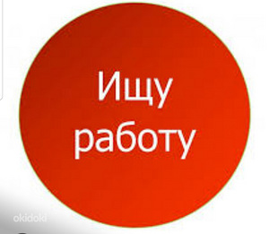В поиске (1 фото из 1)