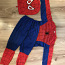 Spiderman kostüüm,116 (foto #1)