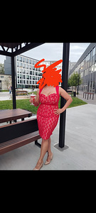 Efektne kleit, l (4 foto / 4)