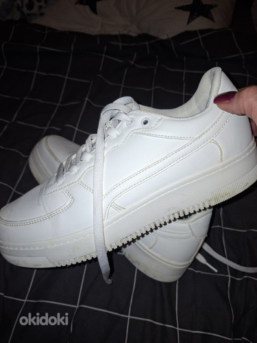 Puma tossud