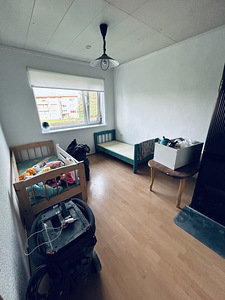 Vassivere tee 12, Laekvere, Vinni vald, Lääne-Virumaa (2 foto / 6)