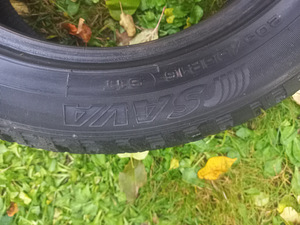 Naastrehvid R16/55/205 Sava Eskimo ICE (3 foto / 3)