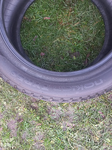 Lamell revhvid R18/50/245 Nokian Hakkapeliita R3 (2 foto / 5)