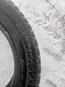 Lamell R19/50/255 Gislaved sportfrost 200 (3 foto / 5)
