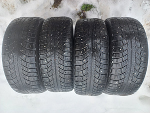 Naastrehvid R16/55/215 Gislaved nord Frost 5 (1 foto / 4)
