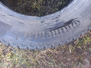 Lamellrehvid R15/65/195 Continental Contiwinter 3 (4 foto / 4)