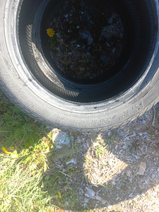 Летние шины R16/50/225 Dunlop (5 фото из 5)