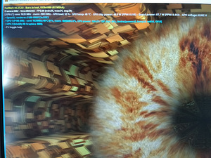 I5-4460/H81M/8GB/SSD 250GB/Nvidia P106-090 6GB (8 foto / 9)