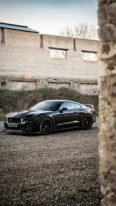 Ford Mustang GT (4 foto / 9)