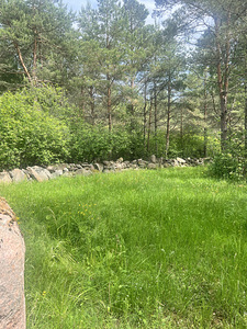 Pallasmaa, Muhu vald, Saaremaa (17 foto / 31)