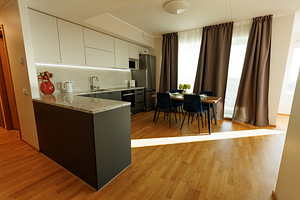 Paepargi tn 50/1, Lasnamäe, Tallinn, Harjumaa (4 foto / 24)