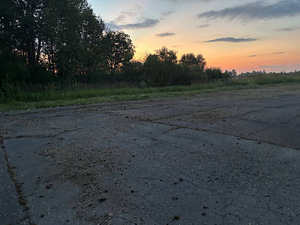 Muru niitmine ja krundi hooldus üle kogu Eesti (4 foto / 5)