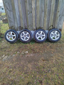 Autoveljed koos rehvidega (7 foto / 7)