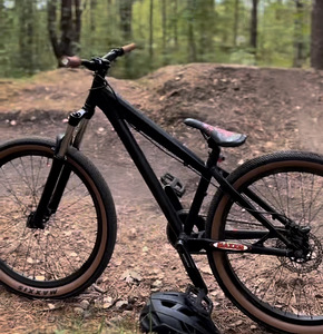 Dirt jumper (2 фото из 2)
