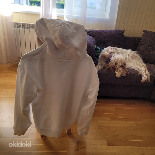 Spider Hoodie (R3p) 1:1