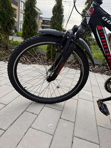 Jalgrattas BOTTECCHIA 060 24" (3 foto / 3)