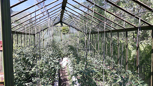 Müüa suvila Keila lähedal (4 foto / 15)