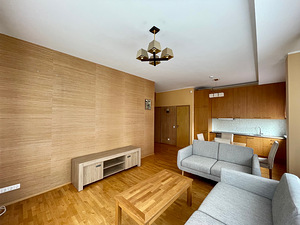 Oja tn 2, Haabersti, Tallinn, Harjumaa (2 foto / 15)