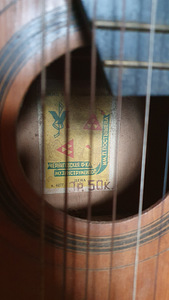 Seitsmekeelne kitarr Ukraina (4 foto / 5)