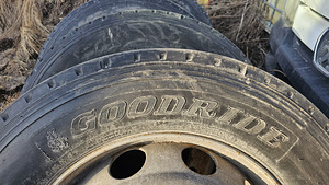 Goodridge (2 foto / 4)