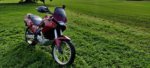 Aprilia Pegaso 650 (2 foto / 5)