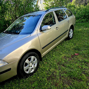 Škoda Oktavia 1.9 TDI 2006 (7 foto / 10)
