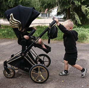 Cybex Priam Jeremy Scott Wings lapsevanker käru (1 foto / 3)