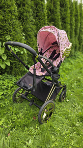 Cybex Priam Jeremy Scott Wings б/у Cherub (4 фото из 4)