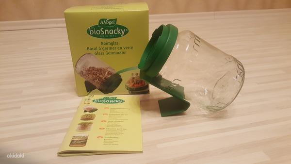 Biosnacky klaasist idandamispurk, uus (foto #3)