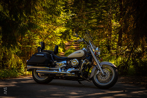 Yamaha xvs 650 Drag Star (9 foto / 9)