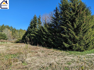 Harju maakond, Kuusalu vald, Salmistu küla, pedasaare tee 105 (12 foto / 19)