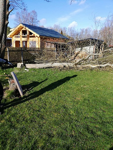 Стрижка газонов,кустов,живой изгороди,спил деревьев, (7 фото из 10)