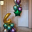 Воздушные шары в Харьюмаа (фото #2)