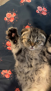 Cocolle oma koti! (1 valokuva sivusta 4)