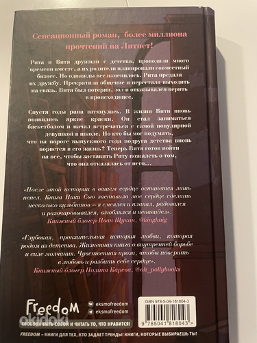 Книга «Пепел » Ники Сью