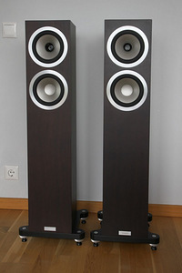 Tannoy Revolution DC6T SE  			