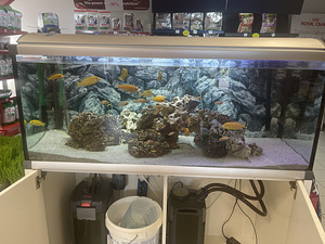 Akvaariumi komplekt 360L (3 foto / 6)