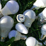 Неисправные Led лампы OSRAM, AIRAM, цоколь Е27 (фото #2)