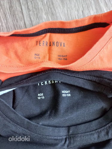 Terranova 152-158, 2 футболки (фото #4)