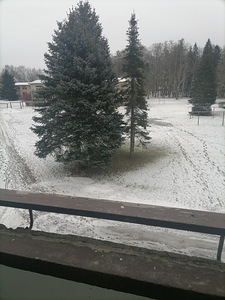Pargi tn 24, Karksi, Mulgi vald, Viljandimaa (12 foto / 15)