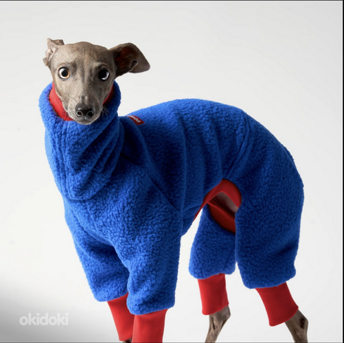 Vemvem® Fleece Suit for Italian Greyhound (Blue)