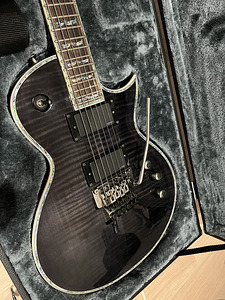 Müüa kitarri Esp Ltd EC-1000 Floyd Rose ja EVH Drop D (9 foto / 10)