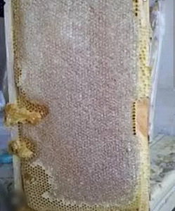 Անարատ մեղր, մեղրամոմ (4 լուսանկար / 7)
